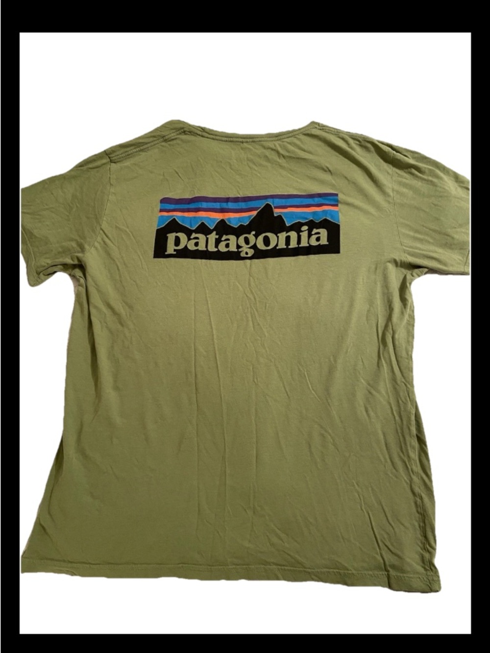 Patagonia Tee Mens XL Slim Fit Green Shirt Short Sleeve Organic Cotton T-shirt